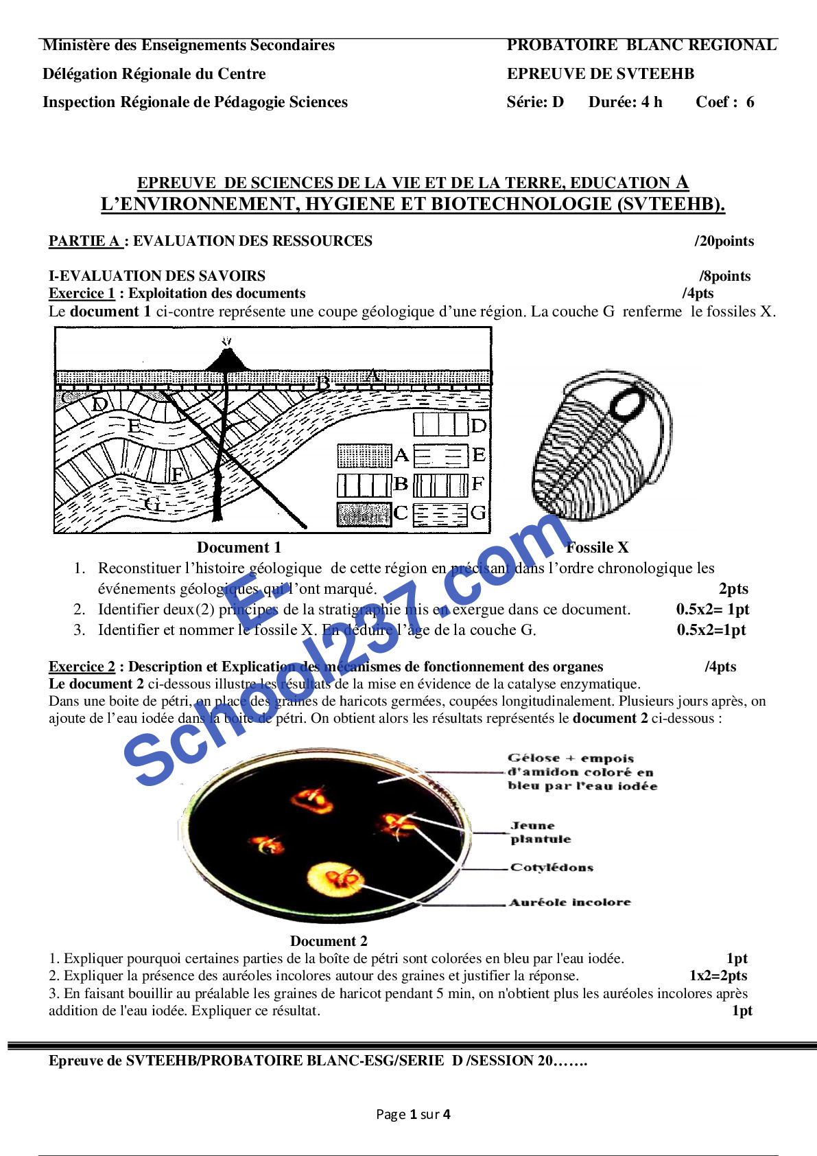 SVTEEHB_PROB BLANC D